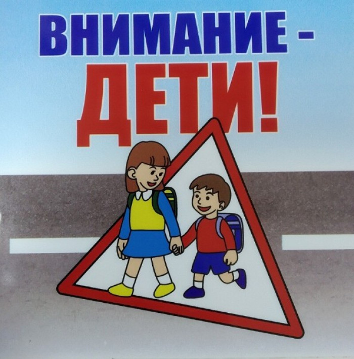 Профилактическое мероприятие «Внимание - дети!».